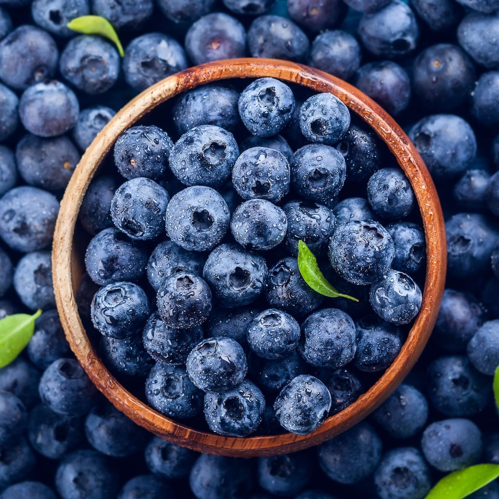 shutterstock blueberry