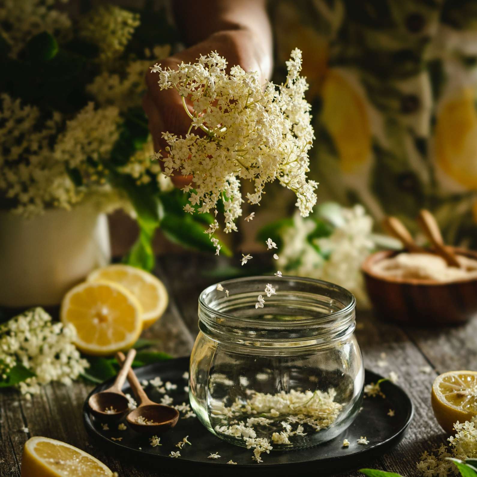 shutterstock elderflower