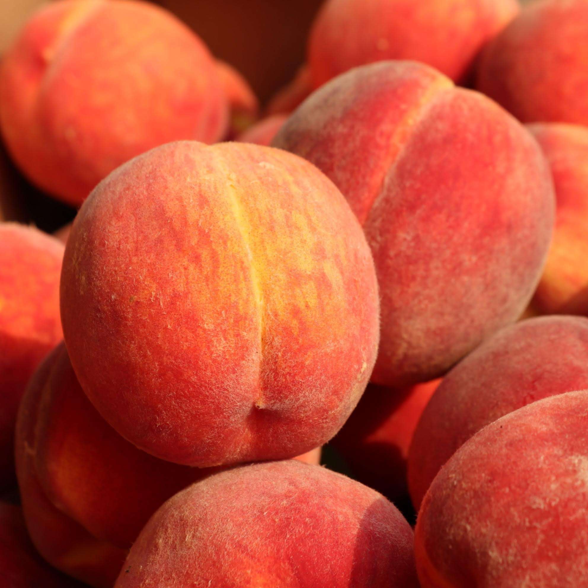 shutterstock peach